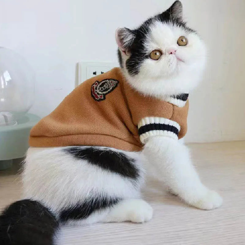Pull Col V à Écusson pour Chat et Petit Chien – Style College