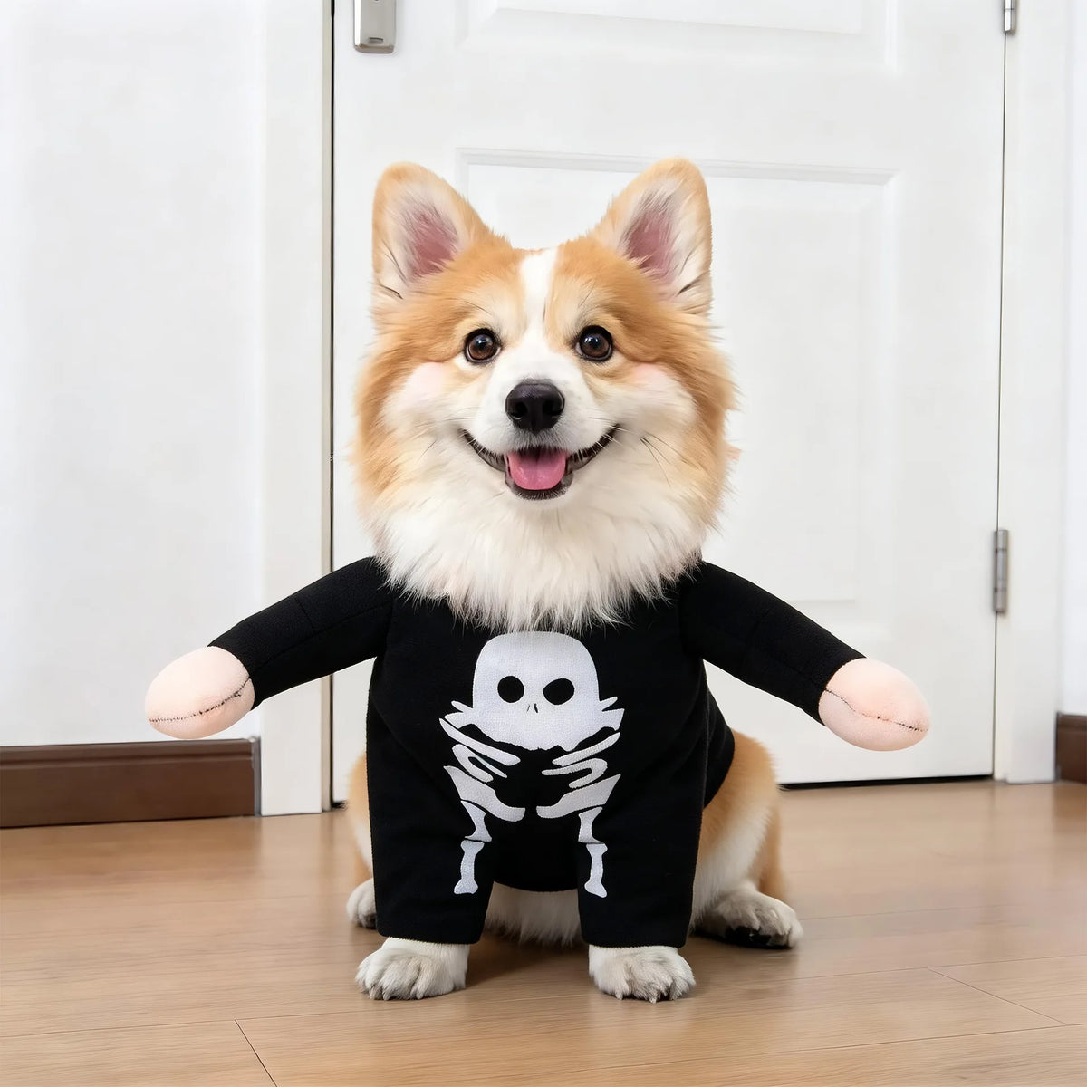 Déguisement pour Chien et Chat – 18 Modèles Rigolos (Halloween, Noël, Carnaval)