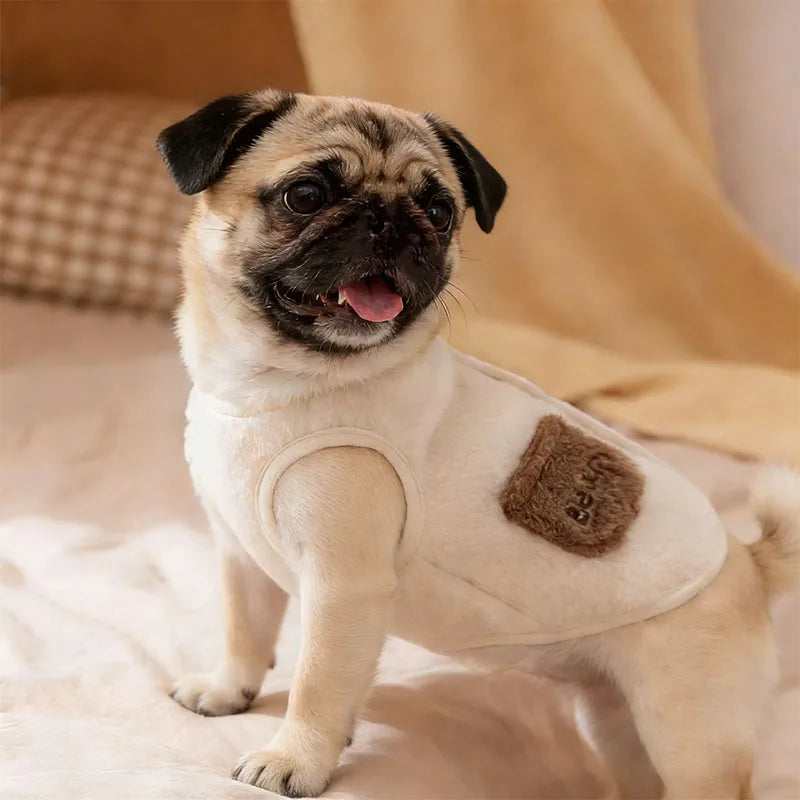 Gilet Polaire Ourson pour Chien et Chat – Effet Teddy, du XS au XXL