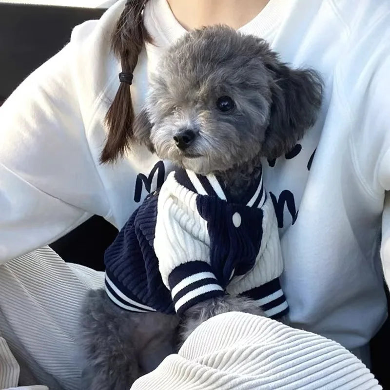 Blouson Baseball pour Chien – Velours Côtelé Brodé, du XS au XL