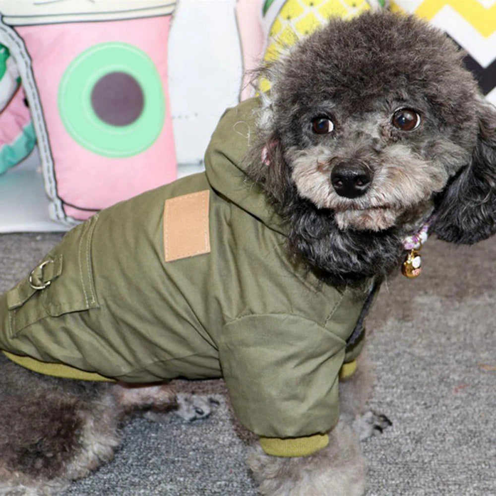 Parka pour Chien à Capuche Fourrée – Chaude et Coupe-Vent, du XS au XXL
