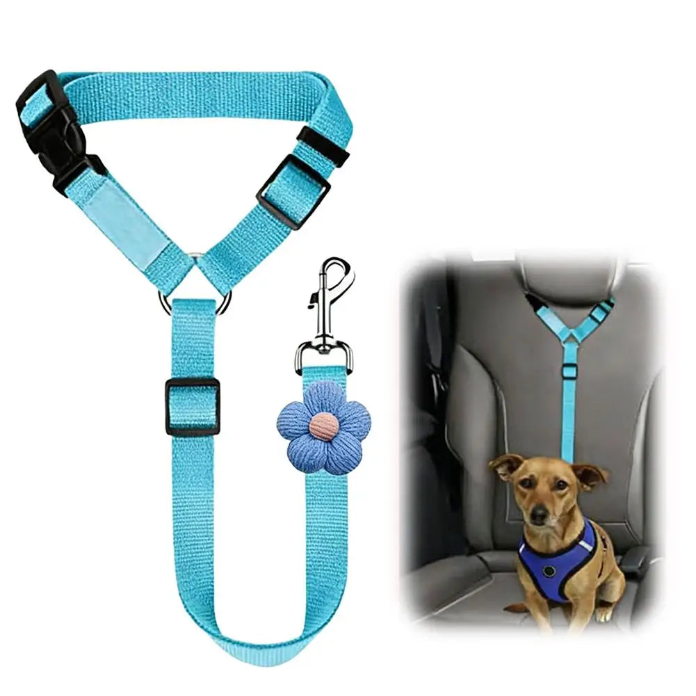 Ceinture de Sécurité Voiture pour Chien et Chat – 2 en 1 Laisse