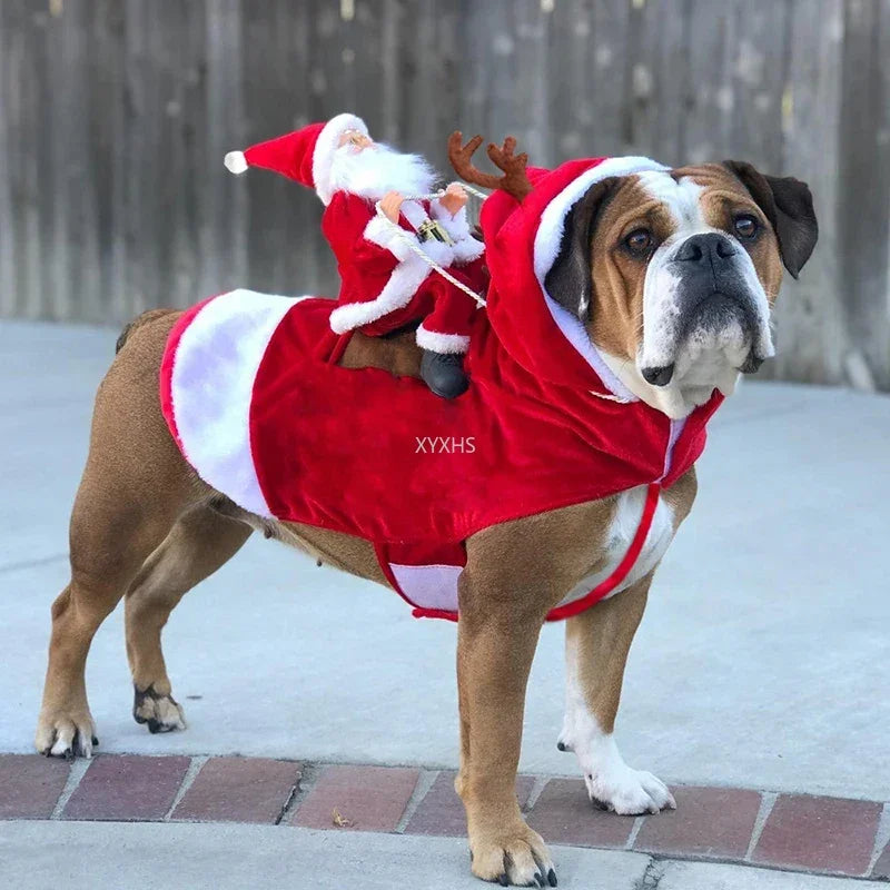Déguisement Père Noël à Dos pour Chien – Cape avec Personnage, du S au XXXL
