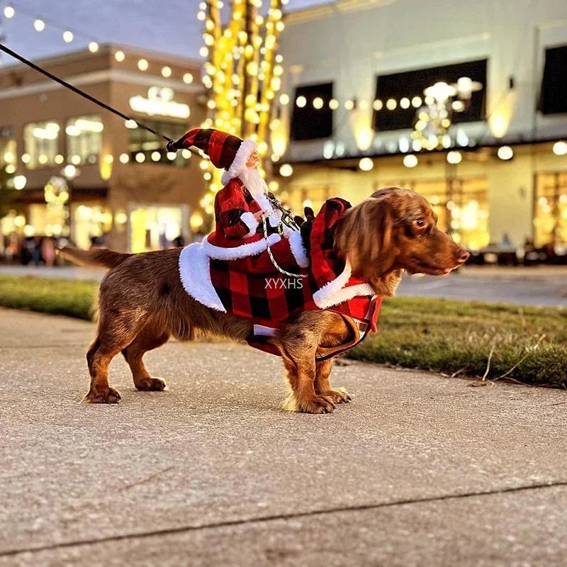Déguisement Père Noël à Dos pour Chien – Cape avec Personnage, du S au XXXL