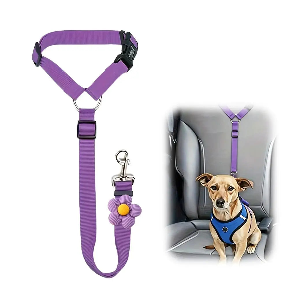 Ceinture de Sécurité Voiture pour Chien et Chat – 2 en 1 Laisse
