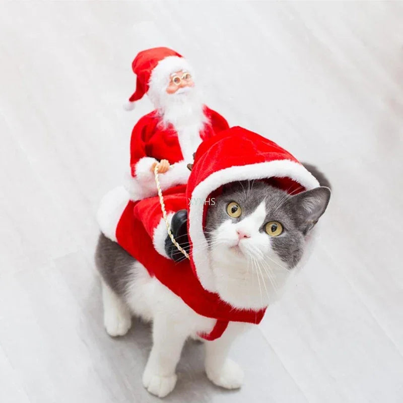 Déguisement Père Noël à Dos pour Chien – Cape avec Personnage, du S au XXXL