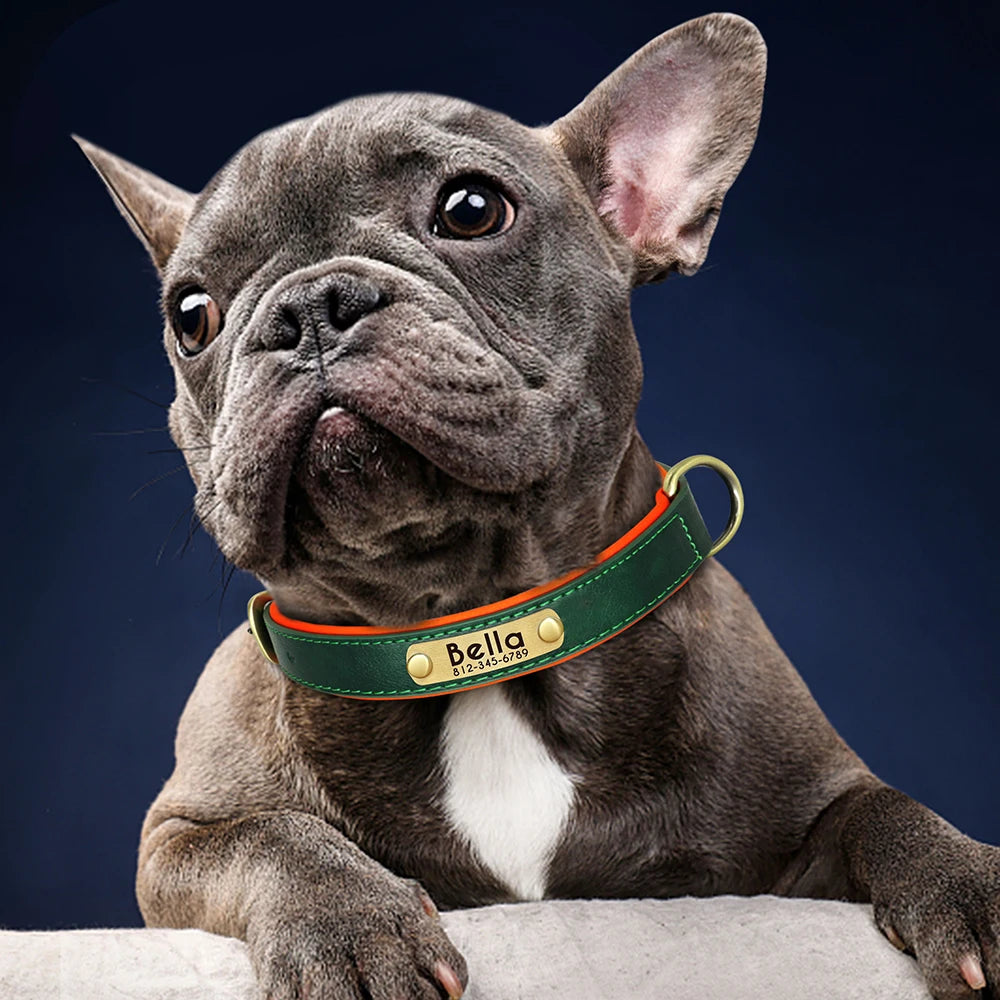 Collier en Cuir Personnalisé pour Chien – Plaque Gravée avec son Nom