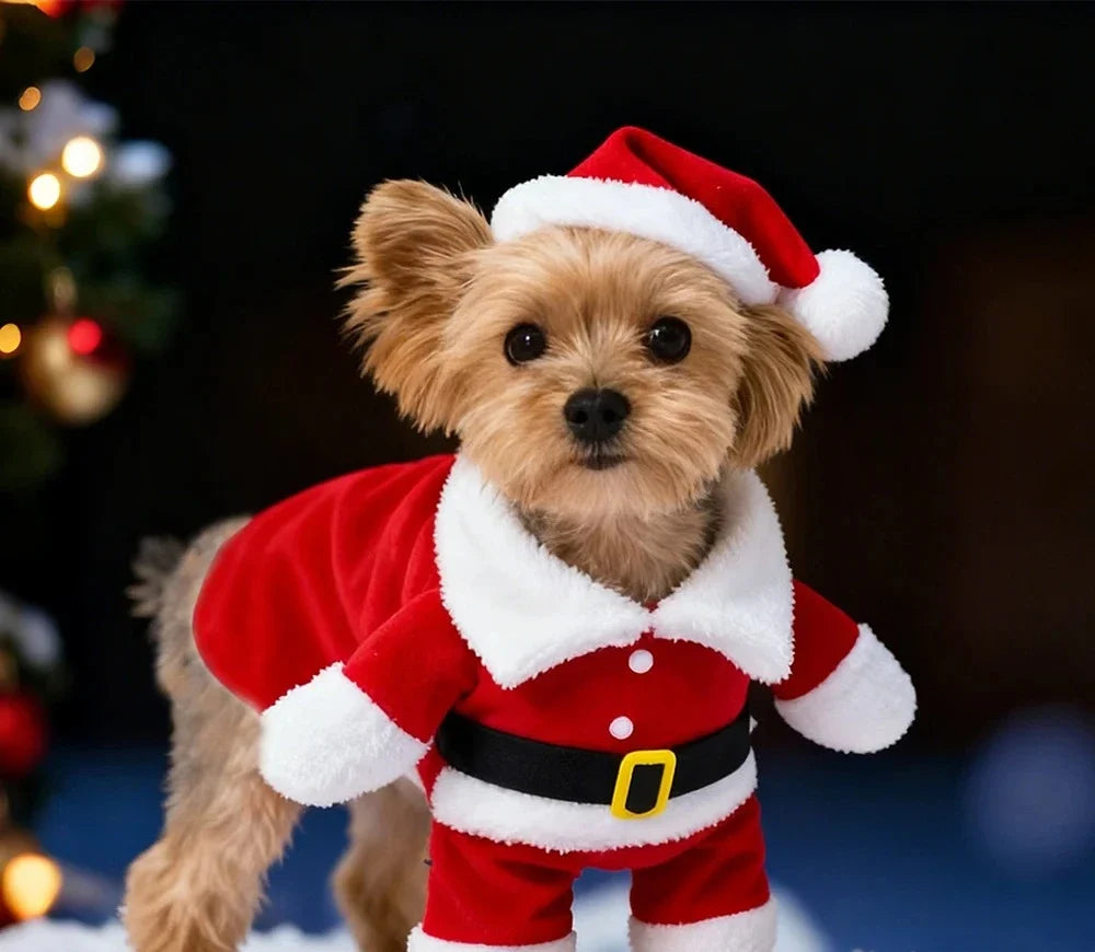Combinaison Père Noël pour petit chien avec bonnet