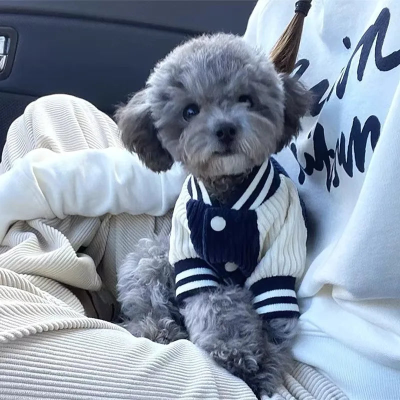 Blouson Baseball pour Chien – Velours Côtelé Brodé, du XS au XL