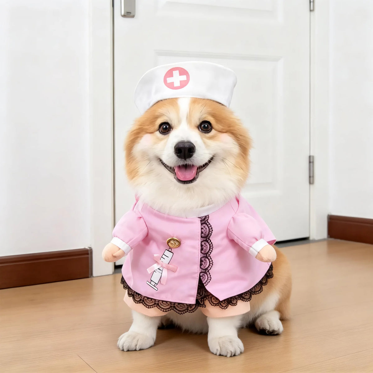 Déguisement pour Chien et Chat – 18 Modèles Rigolos (Halloween, Noël, Carnaval)