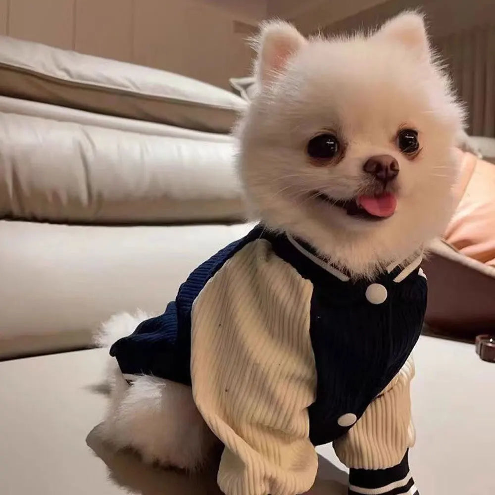 Blouson Baseball pour Chien – Velours Côtelé Brodé, du XS au XL