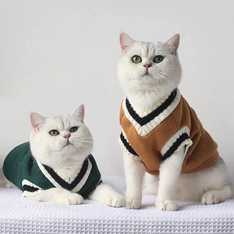 Pull Col V à Écusson pour Chat et Petit Chien – Style College