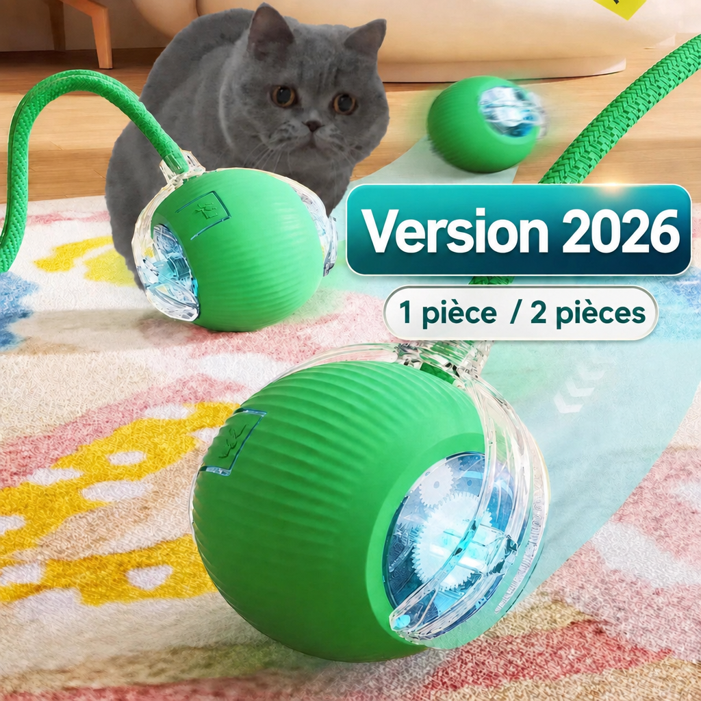 Balle interactive pour chat