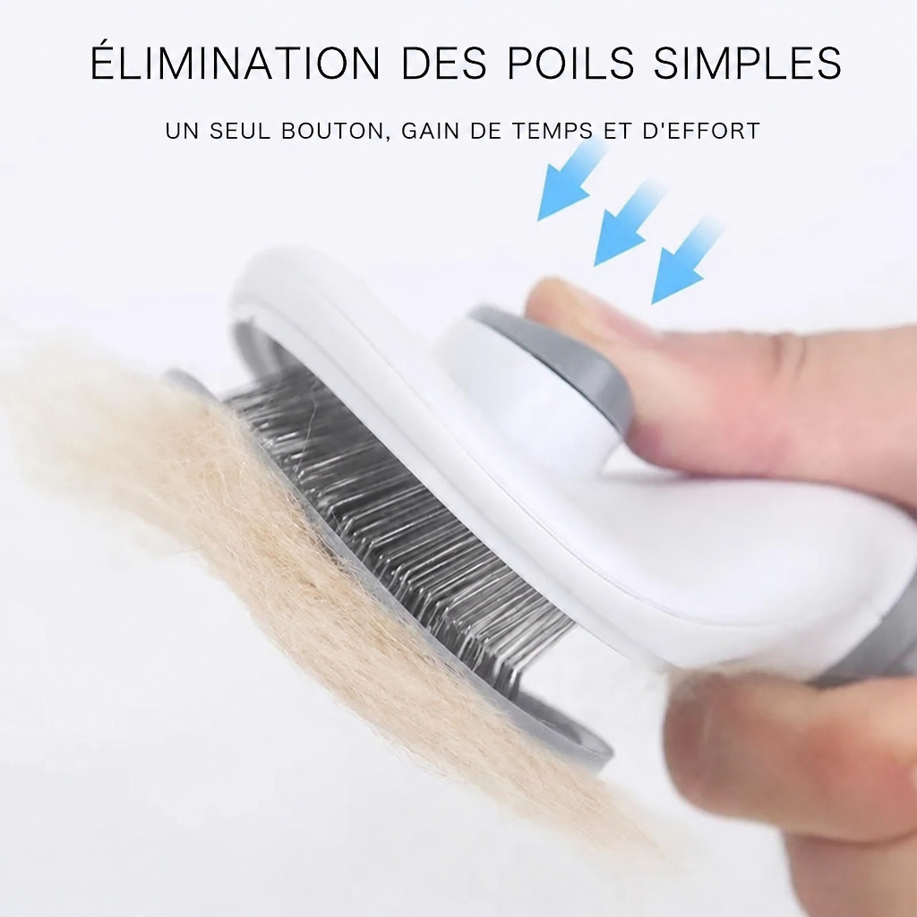 Brosse autonettoyante à bouton
