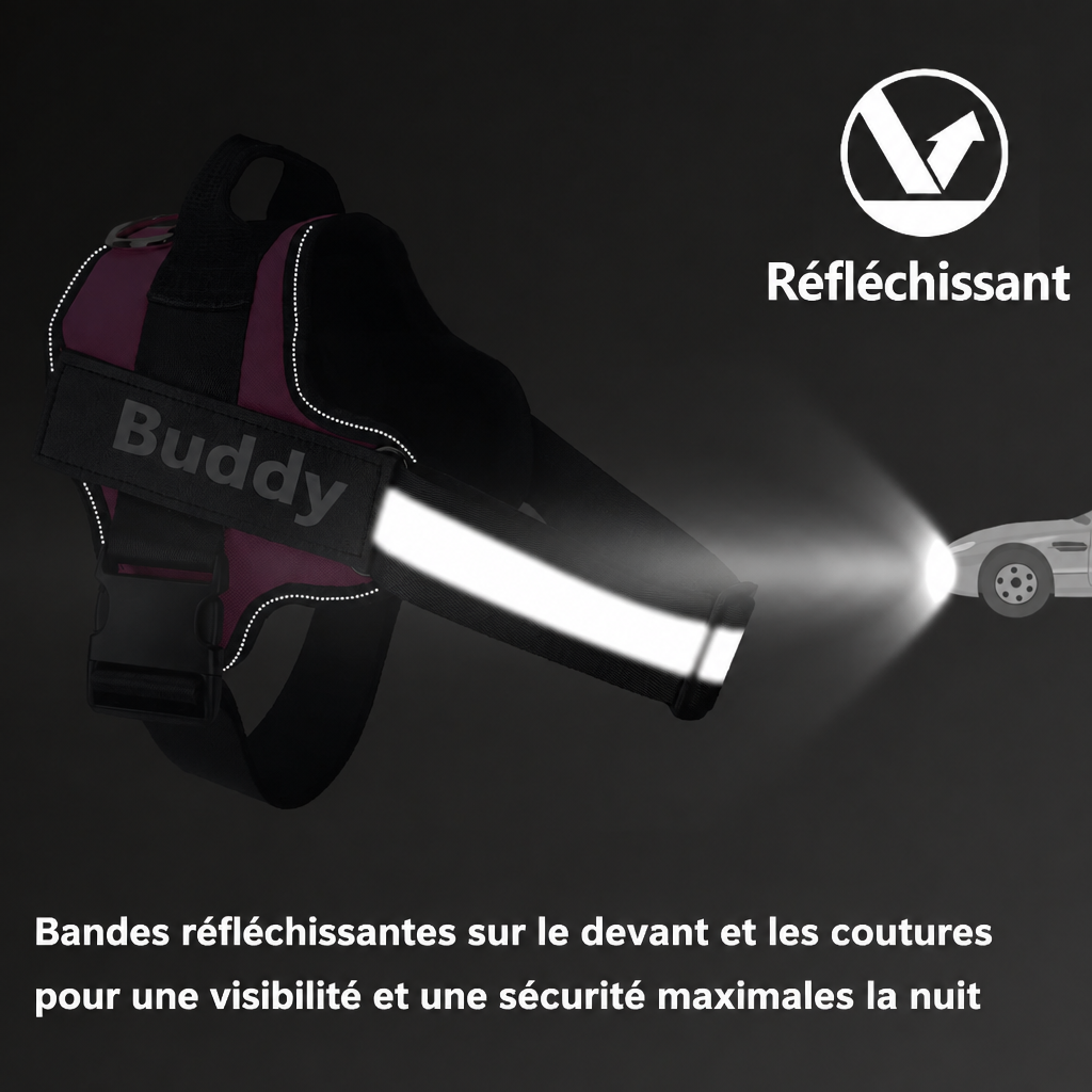 Bandes réfléchissantes du harnais
