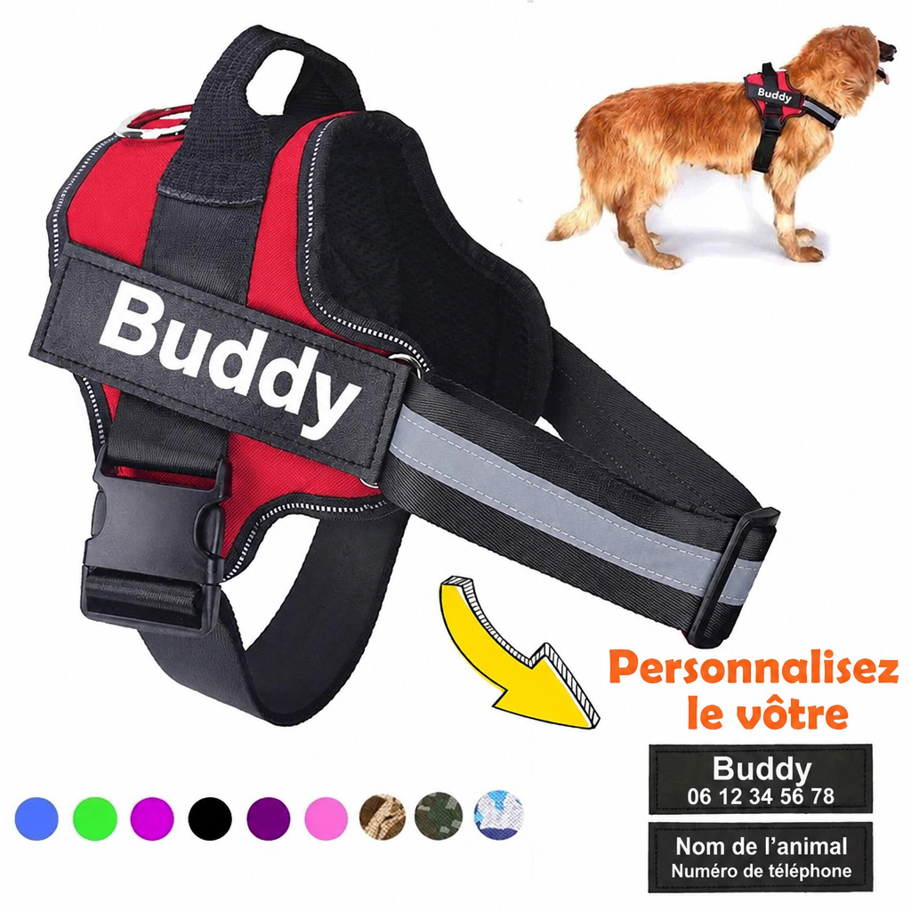 Harnais personnalisé avec nom pour chien