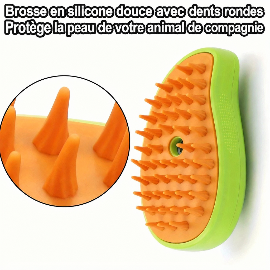 Picots souples de la brosse vapeur