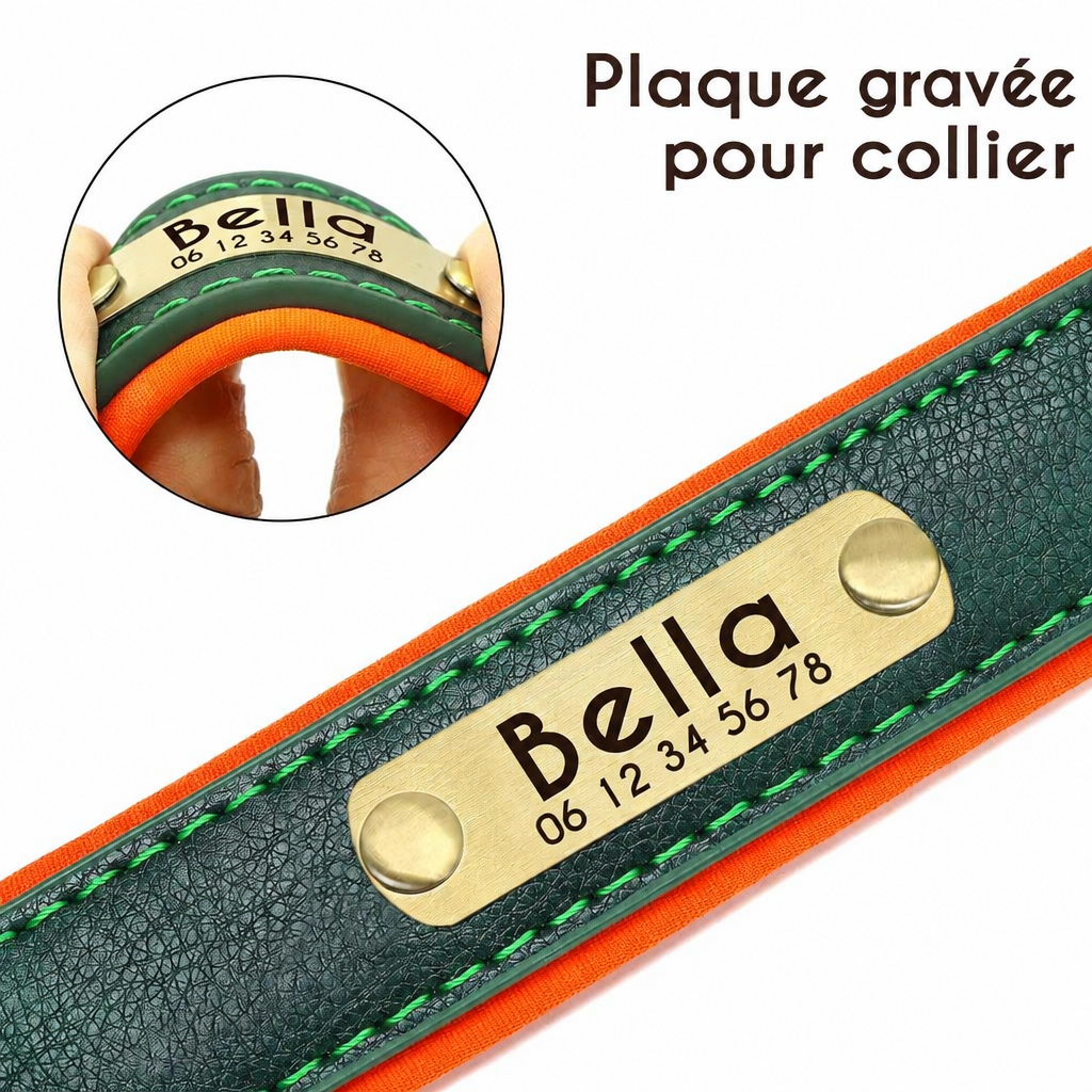 Plaque gravée du collier
