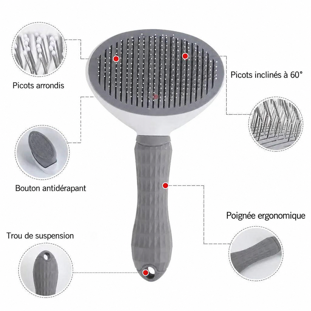 Détails de la brosse autonettoyante