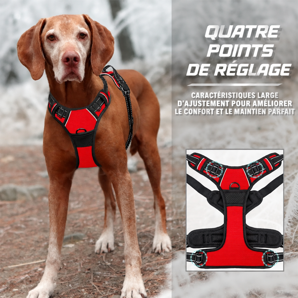 Quatre points de réglage du harnais