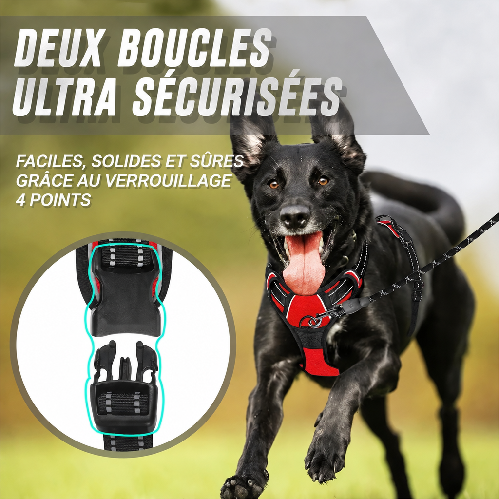 Boucles sécurisées du harnais