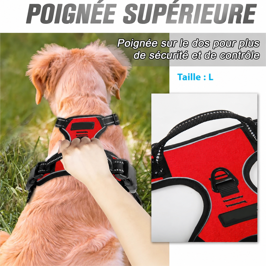 Poignée de maintien du harnais