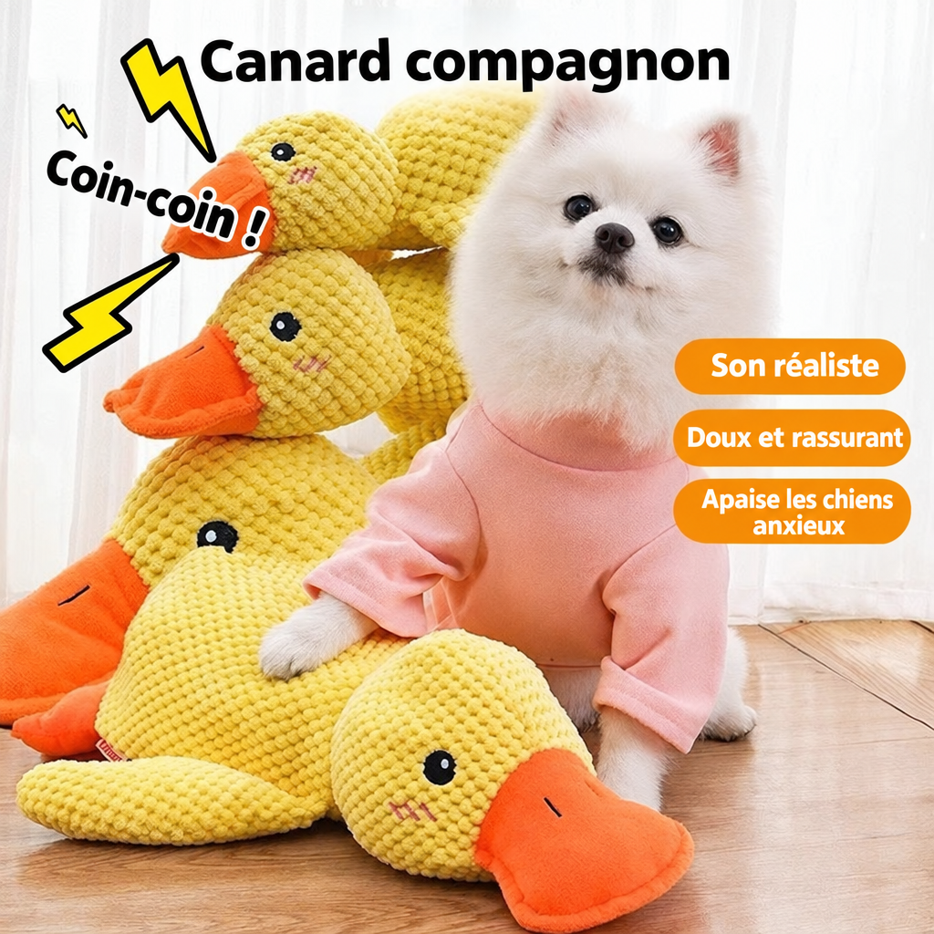 Peluche canard compagnon qui couine